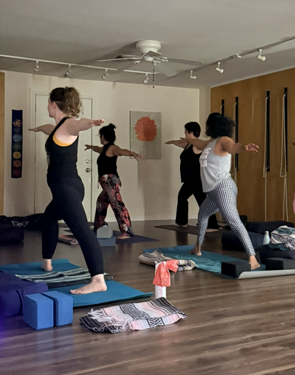 Hatha yoga at Blue Anjou