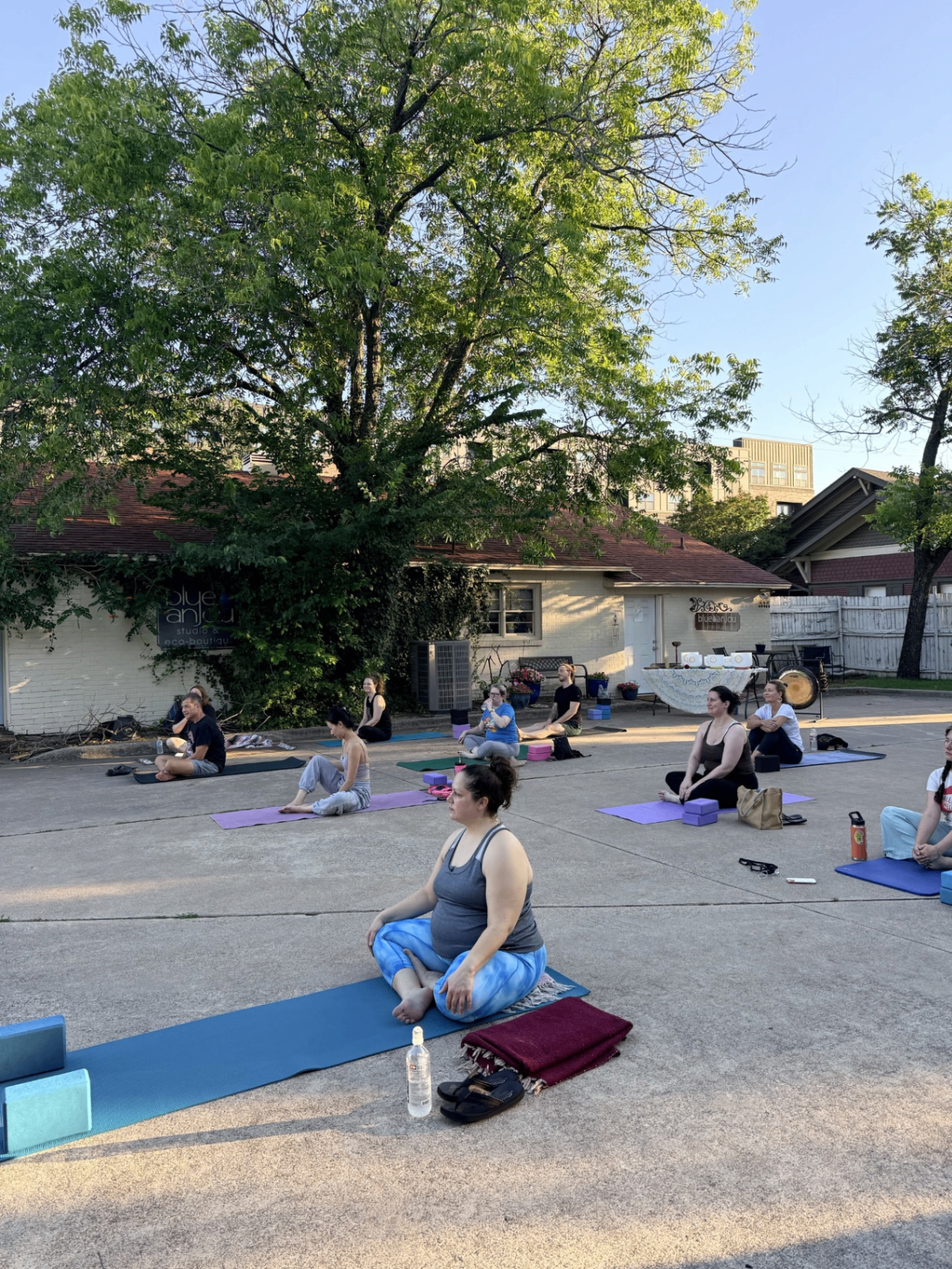 Students practicing yoga together outdoors at Blue Anjou
