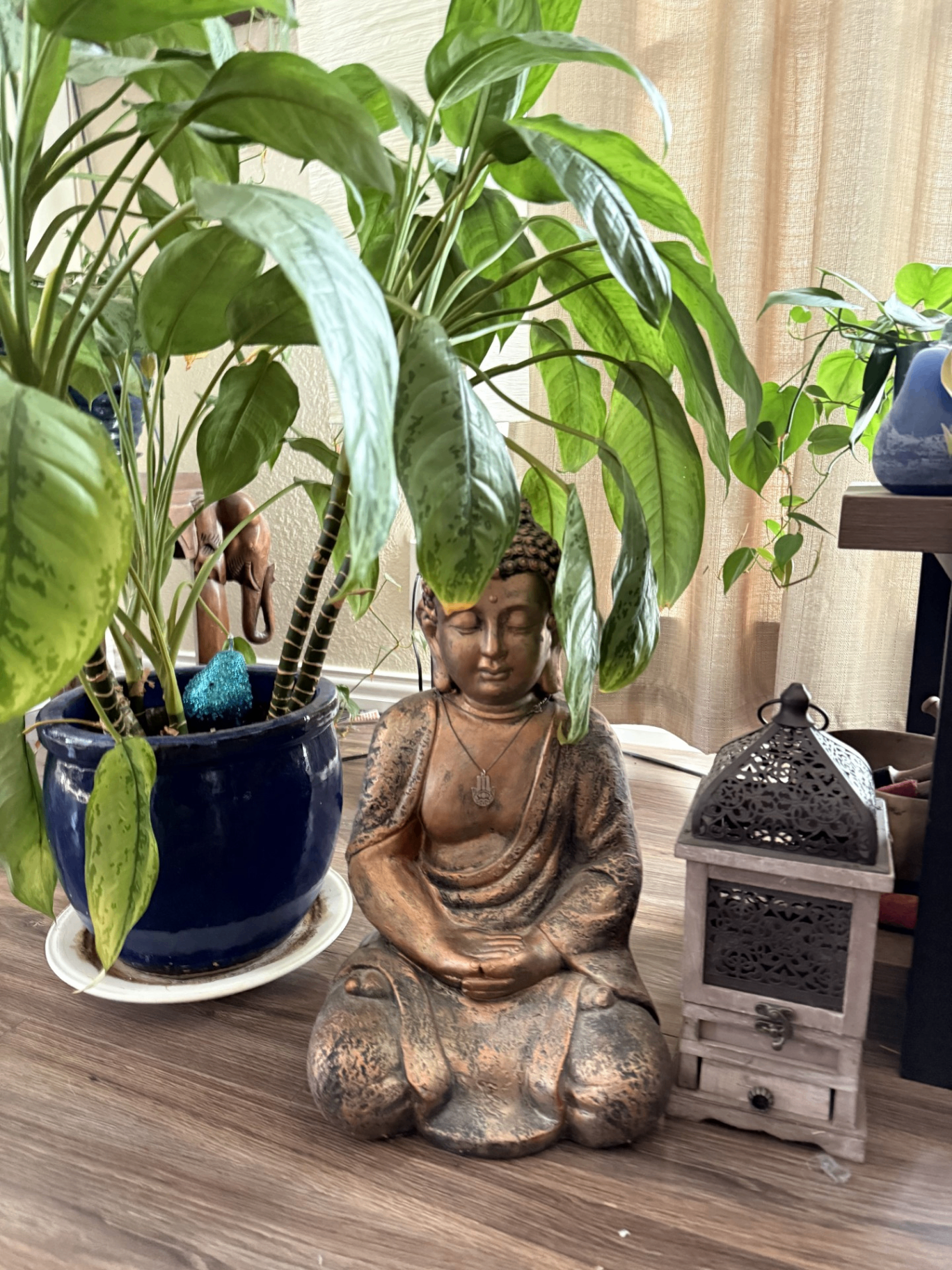 Yin yoga at Blue Anjou